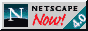 Nestscape Now 4.0